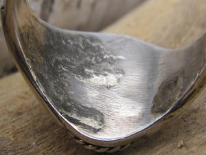 Channel Inlay Wild Horse and Sterling Silver Men's Ring